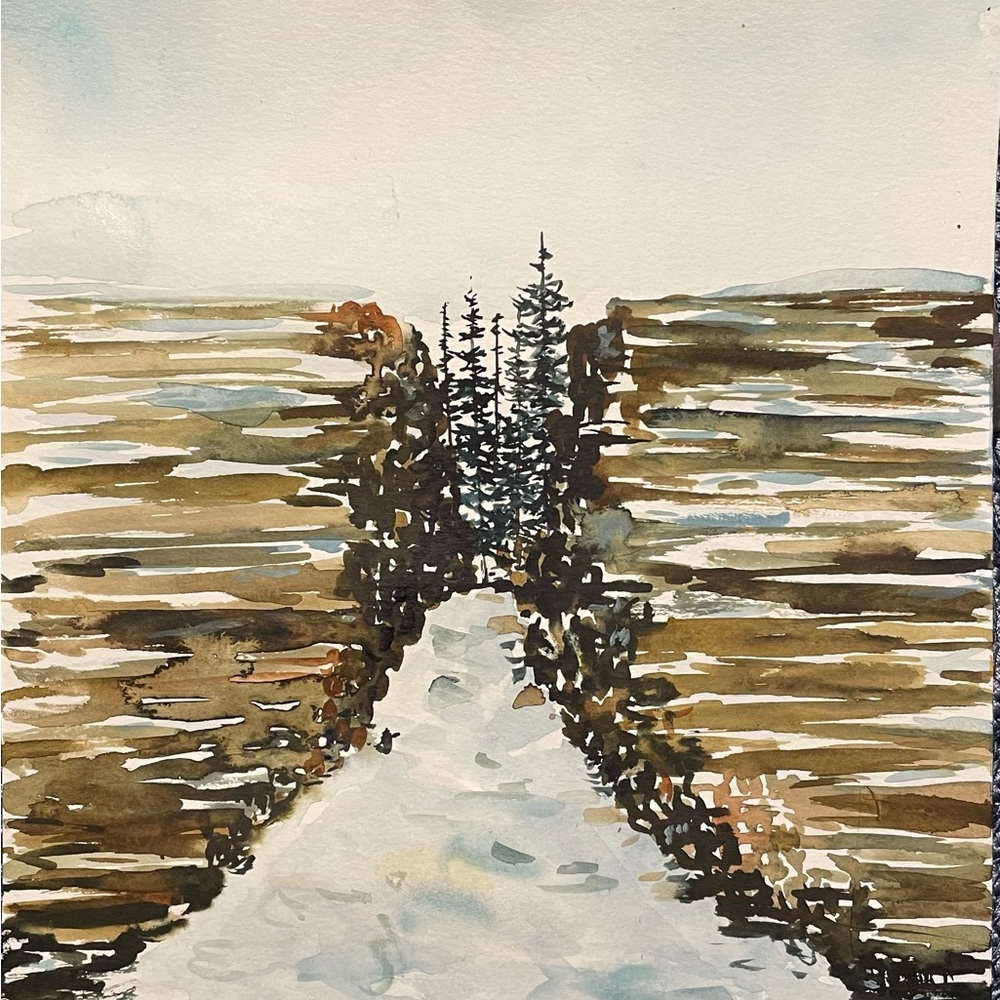 The woods 🌲❄️ unique farmhouse watercolor painting northwest winter